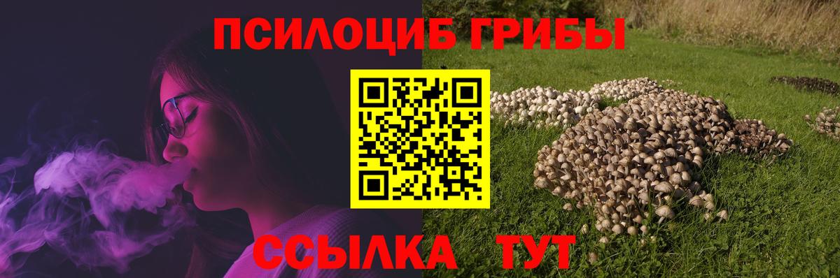 Галлюциногенные грибы Cubensis Кирово-Чепецк